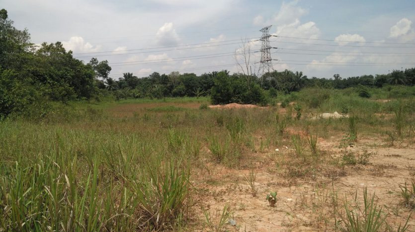 SeeLong Senai Medium Industrial Land for Sales