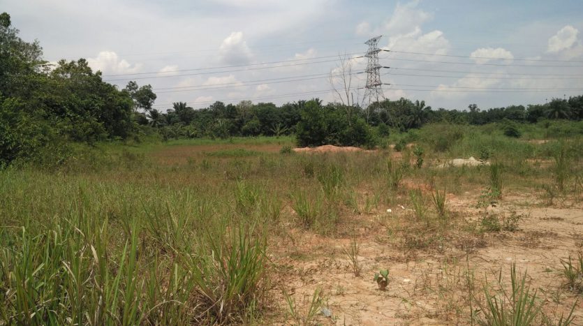 Seelong Senai Medium Industrial Land For Sales