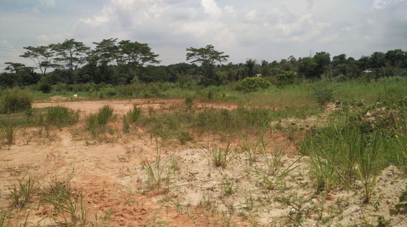 SeeLong Senai Medium Industrial Land for Sales