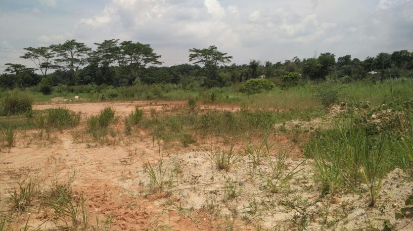 Seelong Senai Medium Industrial Land For Sales