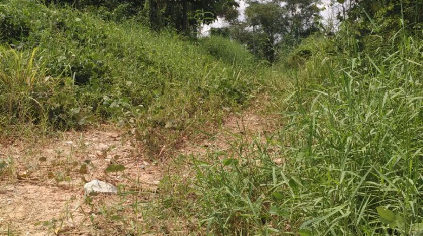 SeeLong Senai Medium Industrial Land for Sales