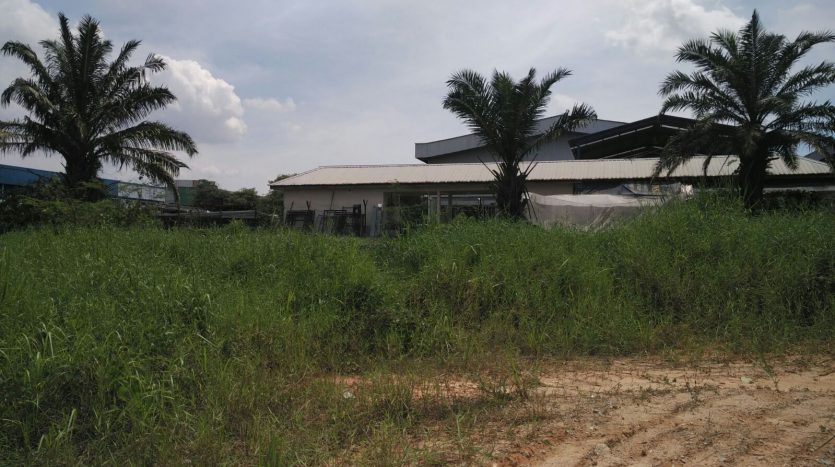 Seelong Senai Medium Industrial Land For Sales