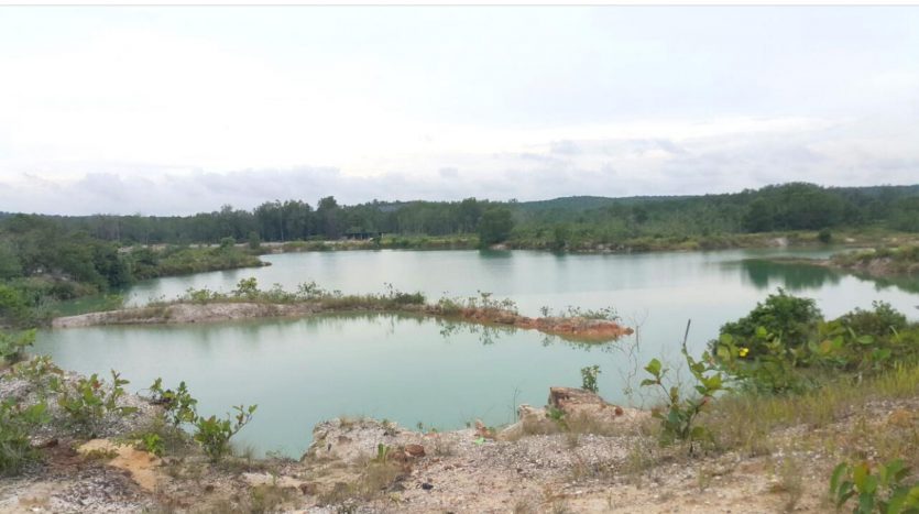 Sungai Tiram Tourism Land for Sales
