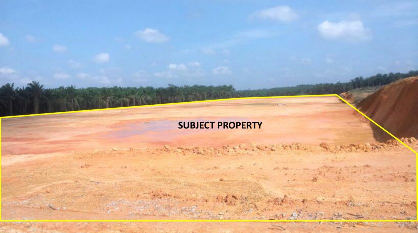 Senai Industrial Land For Sales