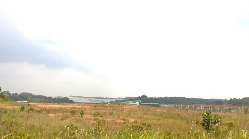 Seelong Senai Medium Industrial Land For Sales