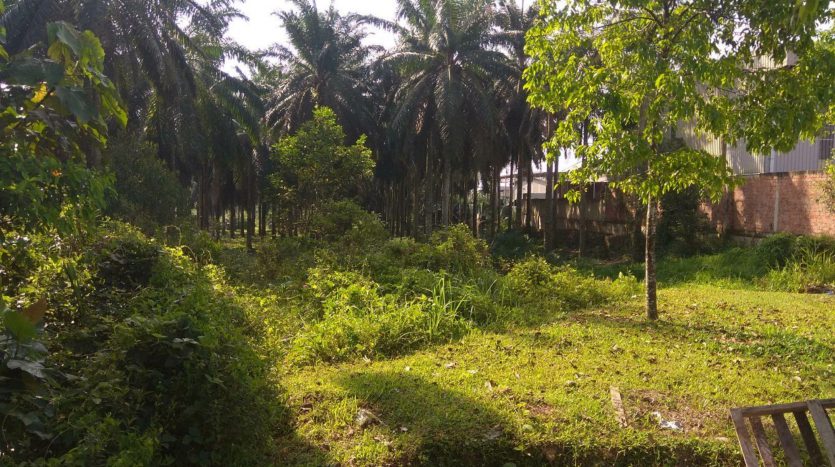 Senai Zoning Industrial Land For Sales