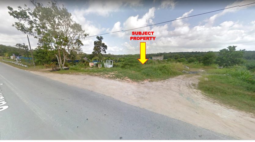 Sungai Tiram Agriculture Land for Sales