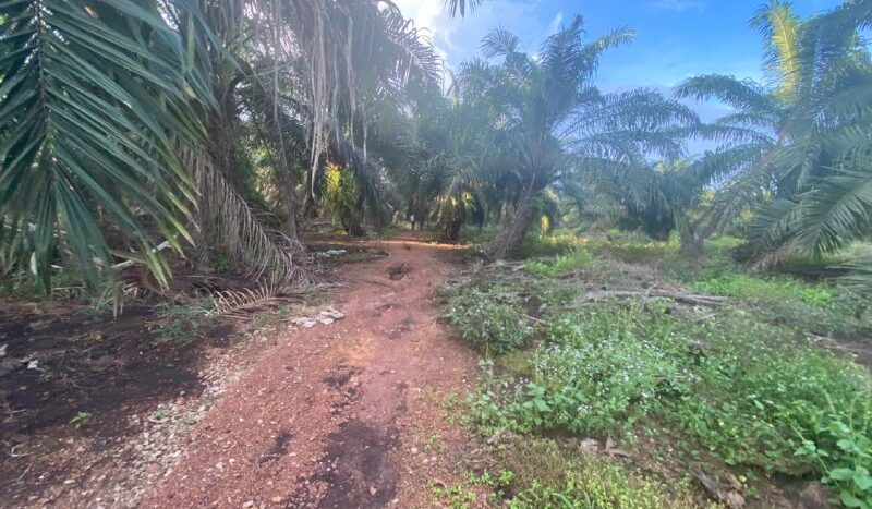 Pontian Zonning Residential Land For Sale