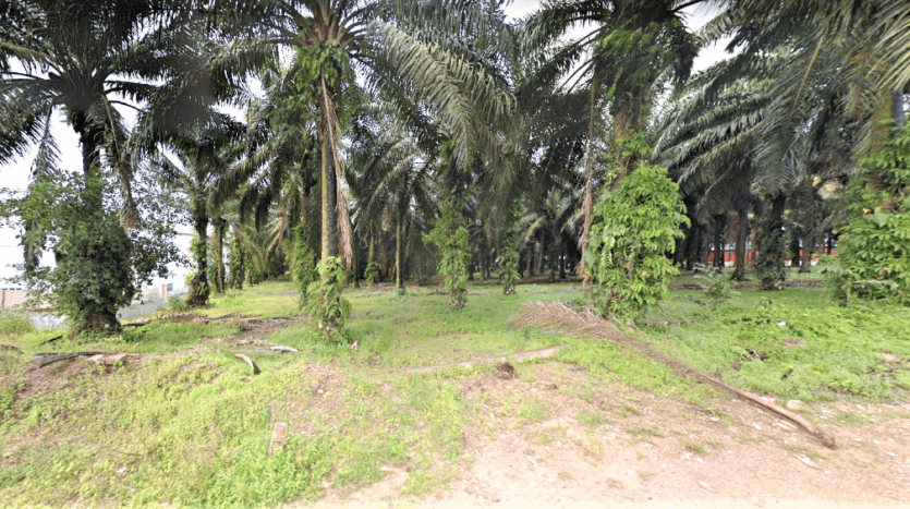 Senai Industrial Land For Sale