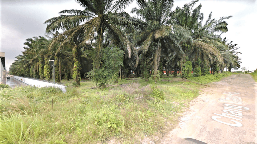 Senai Industrial Land For Sale