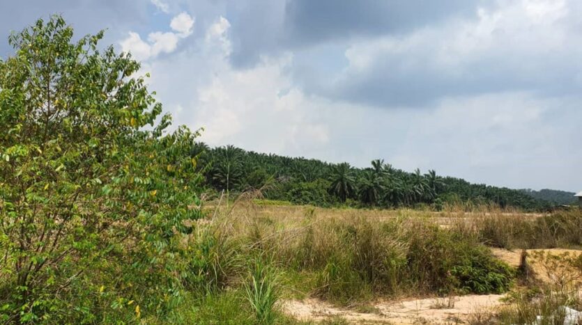 Ulu Choh Medium Industrial Land For Sale