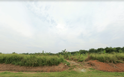 Pontian Agriculture Land For Sale 3