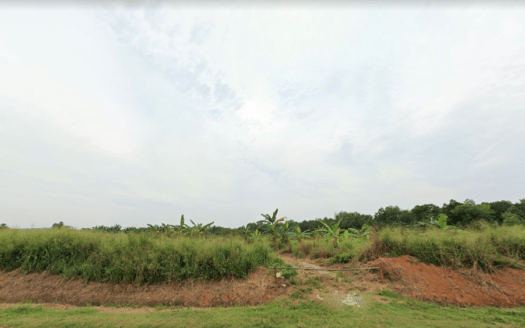 Pontian Agriculture Land For Sale