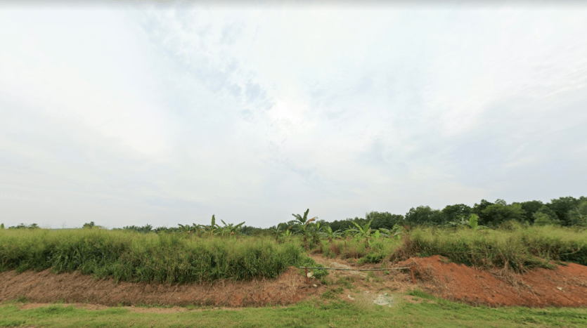 Pontian Agriculture Land For Sale 1
