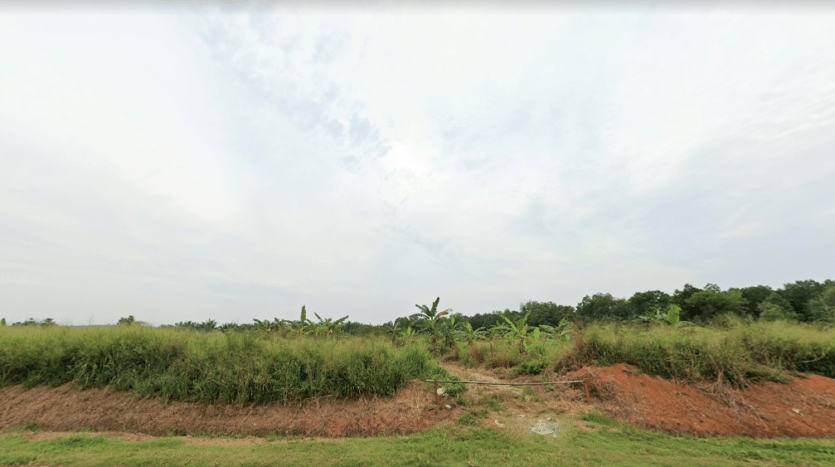 Pontian Agriculture Land For Sale