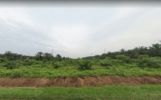 Pontian Agriculture Land For Sale