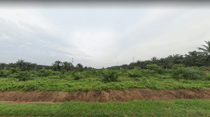 Pontian Agriculture Land For Sale
