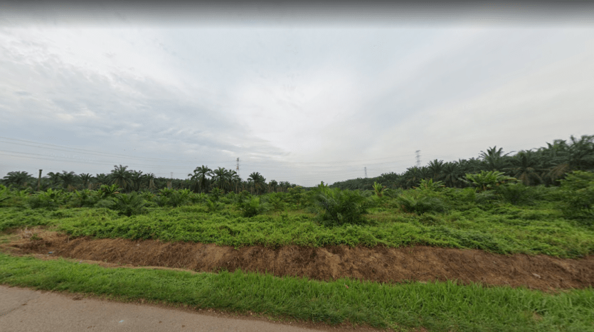 Pontian Agriculture Land For Sale 2