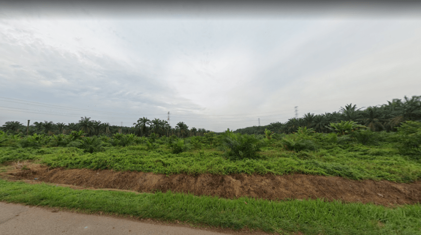 Pontian Agriculture Land For Sale