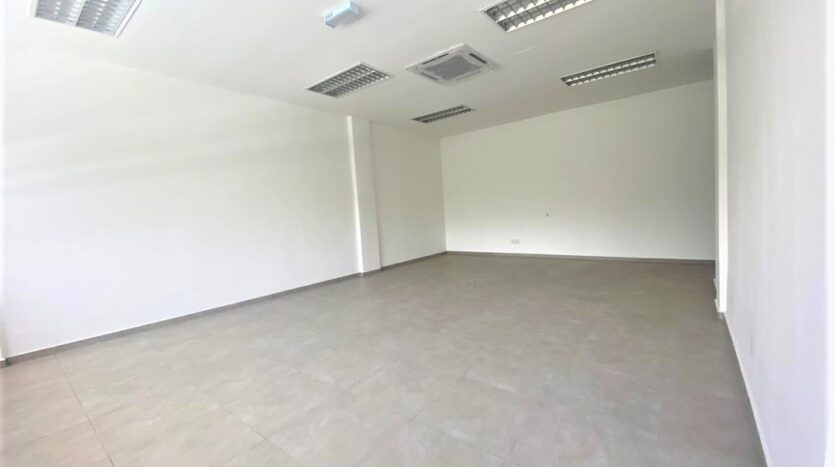 Skudai Detached Factory For Rent 4