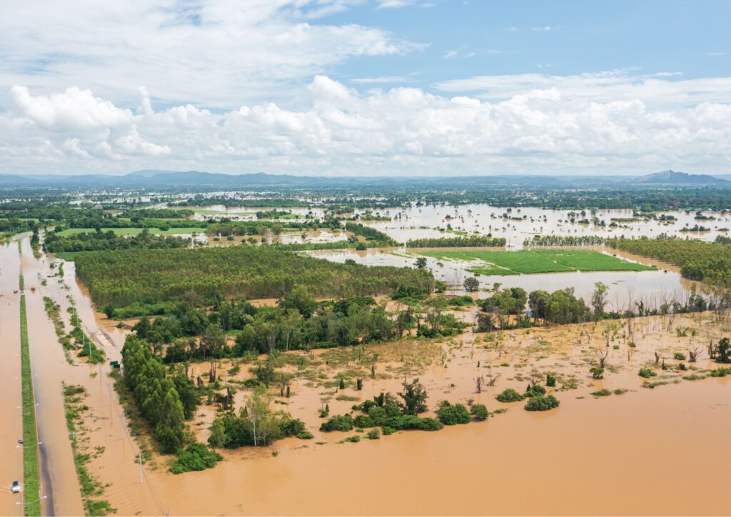 Buying Land In Johor Bahru: 5 Terrible Mistakes to Avoid Buying Land In Johor Bahru: 5 Terrible Mistakes to Avoid